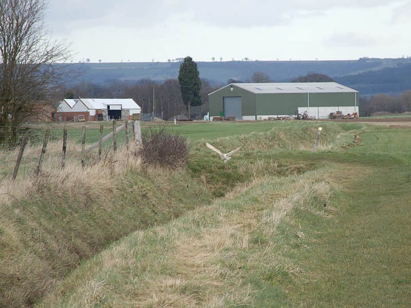 File:Footpath From Field Head towards Carberry Hall Farm - geograph.org.uk - 722997.jpg