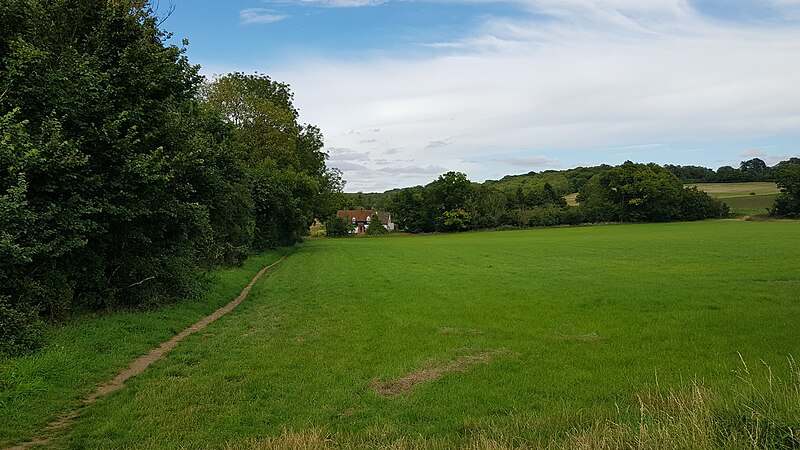 File:Footpath near Graveley, Hertfordshire 2020-07-18.jpg