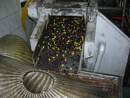 Olive oil mill in Italy