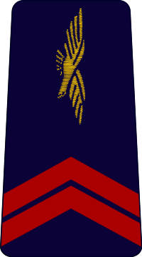 French Air Force-caporal.svg