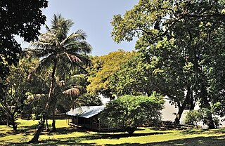 Îlet la Mère Island in French Guiana, France