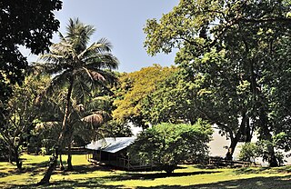 <span class="mw-page-title-main">Îlet la Mère</span> Island in French Guiana, France