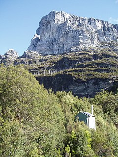 Frenchmans Cap mountain in Western Tasmania, located in Wilderness World Heritage area