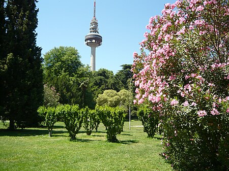 Fuente del Berro