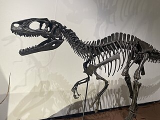 <i>Fukuiraptor</i> Megaraptoran theropod dinosaur genus from the Early Cretaceous epoch