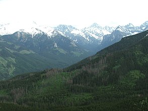 Hala Wołoszyńska from Gęsia Szyja peak