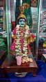 Gangor celebration shivji