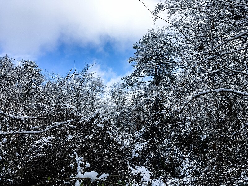 File:Georgia snow IMG 4712 (25075950618).jpg