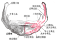 於 2019年6月16日 (日) 08:43 版本的縮圖