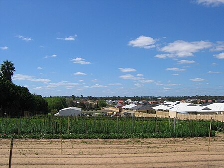 Gwelup agricultural