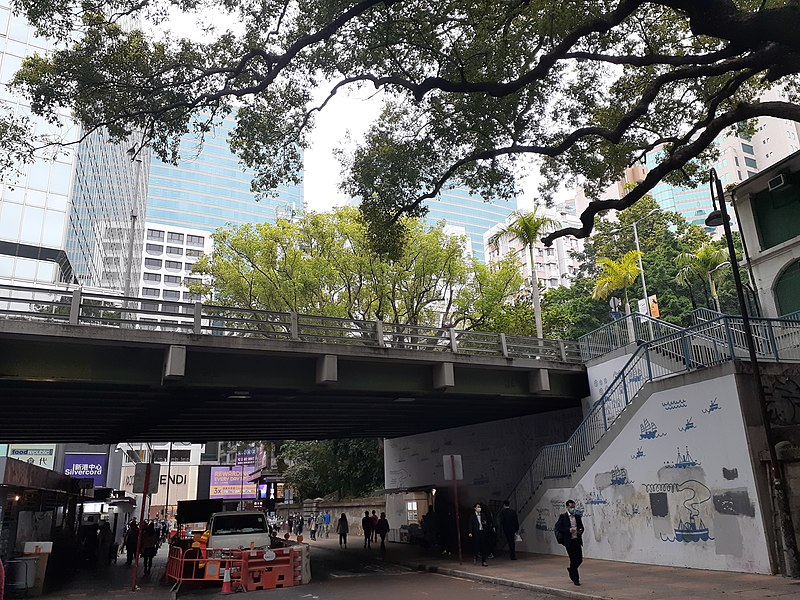 File:HK TST 尖沙咀 Tsim Sha Tsui 海防道 Haiphong Road 樟樹 Camphora trees March 2021 SS2 12.jpg