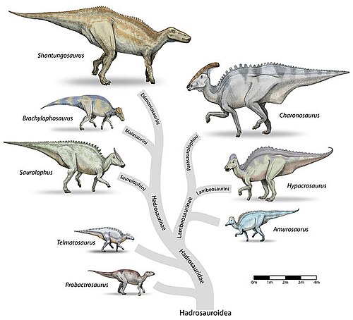 Hadrosaur-tree-v4.jpg