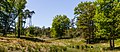 Half open heuvelig landschap. Locatie, Kroondomein Het Loo.