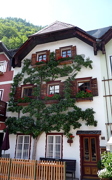 File:Hinterisches Haus, Hallstatt.jpg