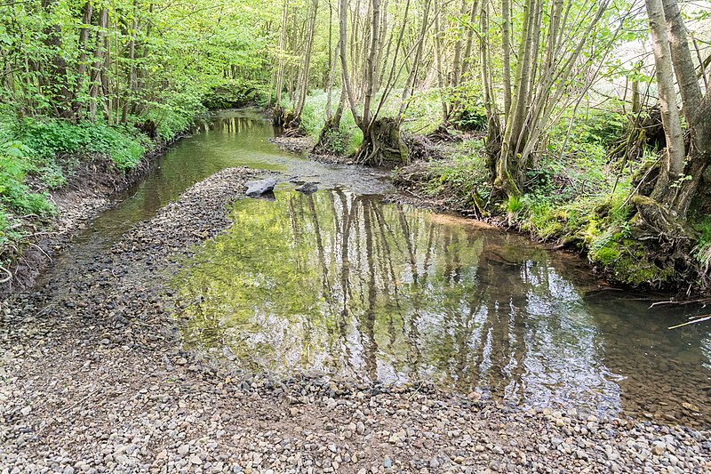 File:Horn-Bad Meinberg - 2015-05-10 - LIP-028 Silberbachtal mit Ziegenberg (26).jpg