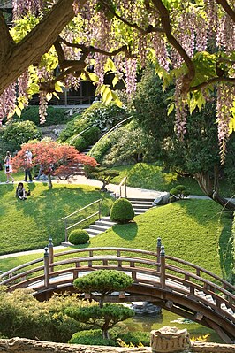 The Japanese Garden in Spring.