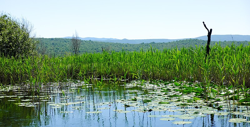 File:Hutovo Blato Wetlands 04.jpg