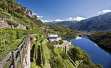 I terrazzamenti del lago Moro - Vigneti in località scraleca