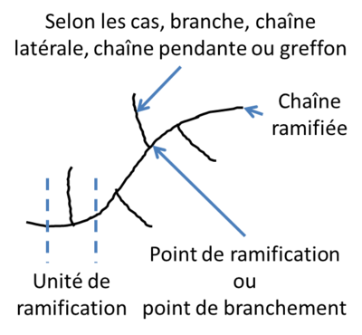 Illustration d'un polymère ramifié