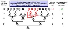 Ejemplo de cruce entre generaciones