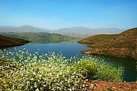 Iran - Alborz Province - Taleghan Lake - panoramio.jpg