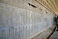 Irnp050-Persepolis.jpg
