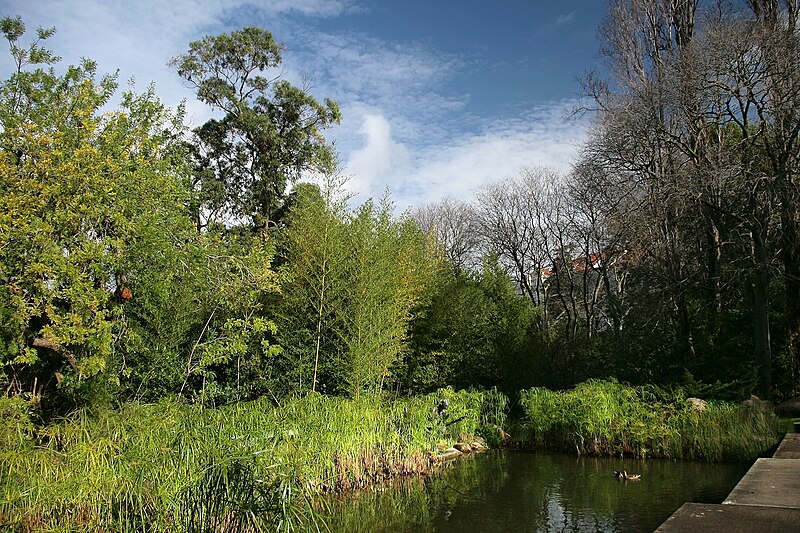 File:Jardim da Fundação Calouste Gulbenkian (14127118772).jpg