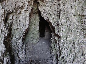 Jaskinia na Gołąbcu DK29. (4).jpg