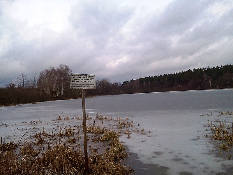 File:Jezioro Jurkowo.jpg