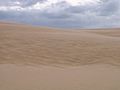 Thumbnail for Jockey's Ridge State Park