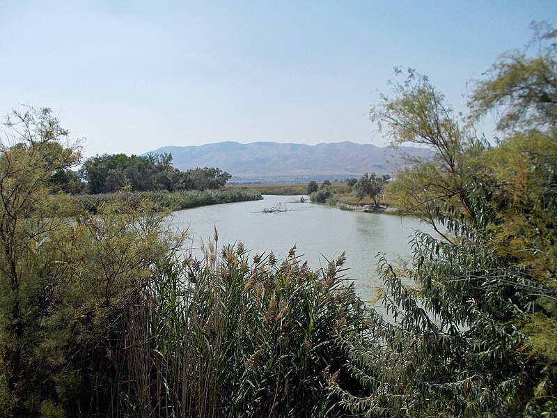 File:Jordan River 2015.08.22 12.35.45 - andrey zharkikh.jpg