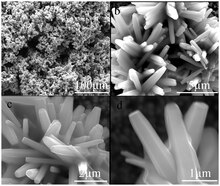 FE-SEM images of a hierarchical synthetically made ZnO film. The hierarchical structure of this particular film makes it more hydrophilic. Other biomimetic surfaces are created with similar structures to control wettability properties. Magnifications are (a) x800, (b) x20000, (c) x40000, (d) x80000. Journal.pone.0014475.g001.tif