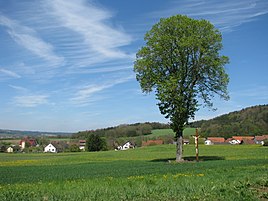 Kadenzhofen