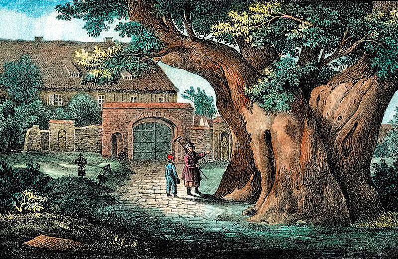 File:Kaditzer Linde, 1840.jpg