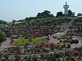 かのやばら園（霧島ヶ丘公園）（2009年5月）