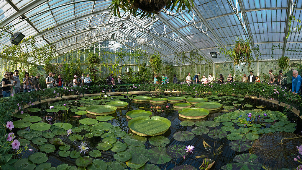 Jardin botanique de Kew Garden à Londres - Photo by DAVID ILIFF. License: CC-BY-SA 3.0