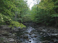 Forests maintain water flow in streams KingsForestParkF.JPG