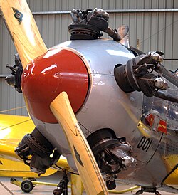 Kinner R-56 in a PT-22 recruit