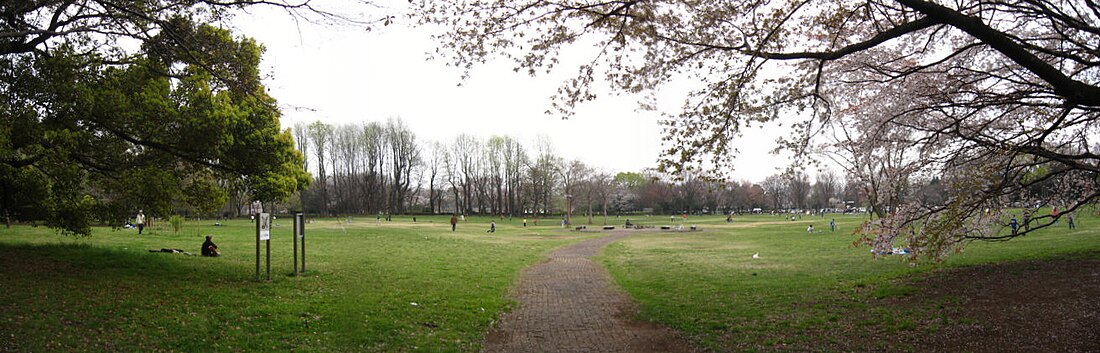 File:Koganei-Park.jpg