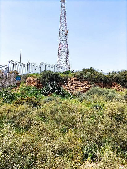 איך מגיעים באמצעות תחבורה ציבורית  לגבעת קוזלובסקי? - מידע על המקום