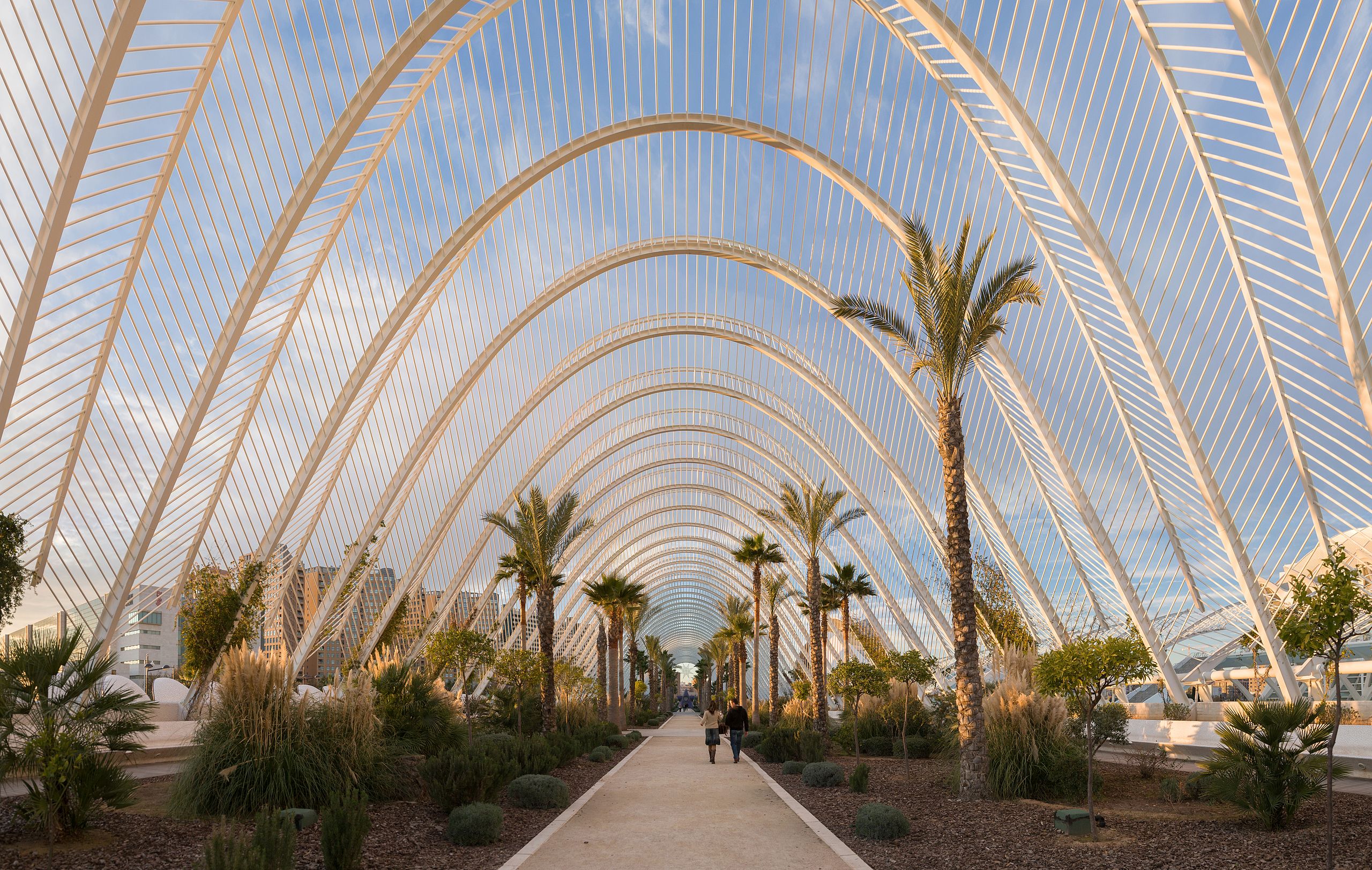 File:L'Umbracle, Valencia, Spain - Jan 2007.jpg - Wikipedia