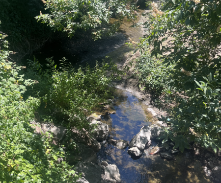 Lafayette Creek (small)