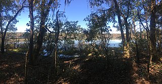 <span class="mw-page-title-main">Lake Overstreet</span> Lake in the state of Florida, United States