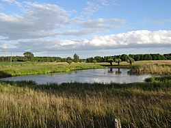 Расположен в Быдгощском лесу, село Лешице.