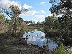 Lightning Swamp Bushland