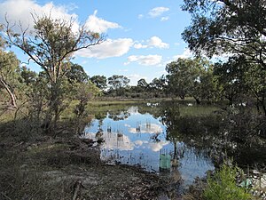 Lightning Swamp Bushland