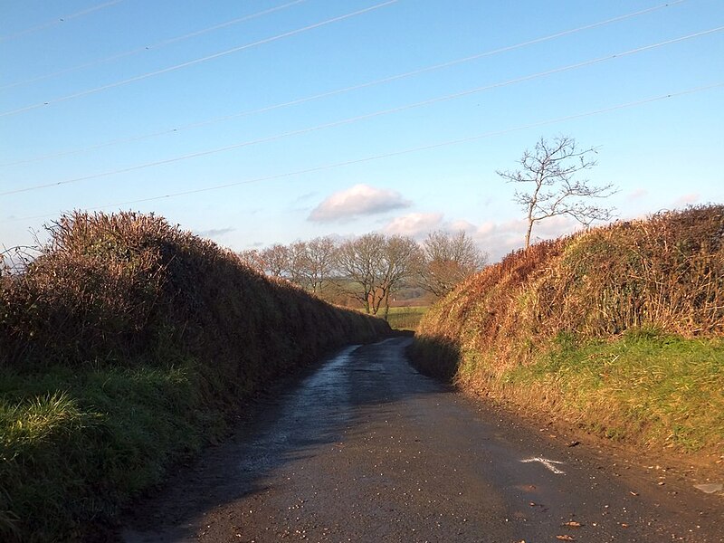 File:Limer's Lane - geograph.org.uk - 3777218.jpg