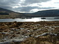 Loch Awe - geograph.org.uk - 1254468.jpg