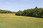 Loewenstein nature reserve Enzwiese 20120514.jpg