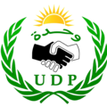 Union for Democracy and Progress (UDP)